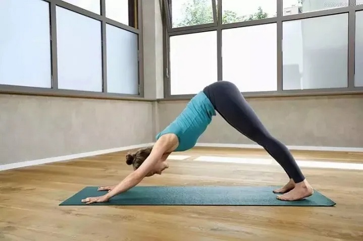 yoga Nedåtgående hundställning